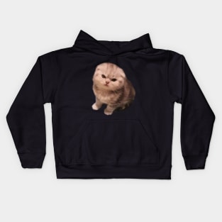 Angry Cat Kids Hoodie